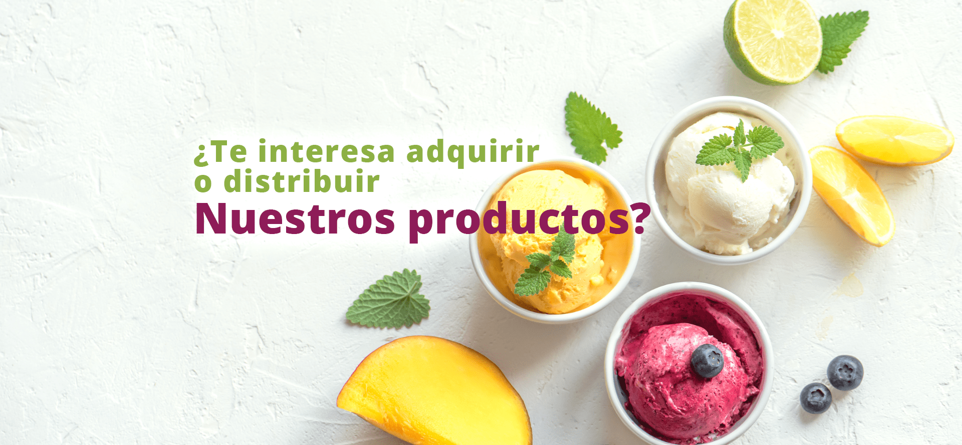 Banner Nuestros productos escritorio