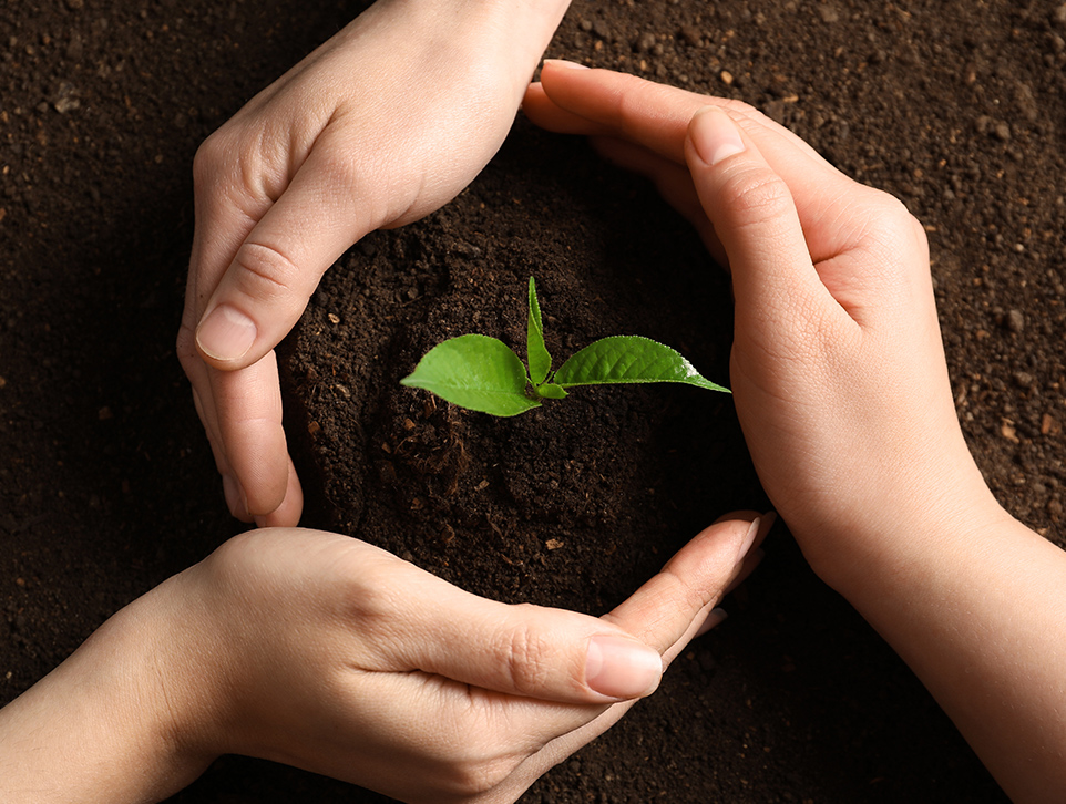 Sustentabilidad